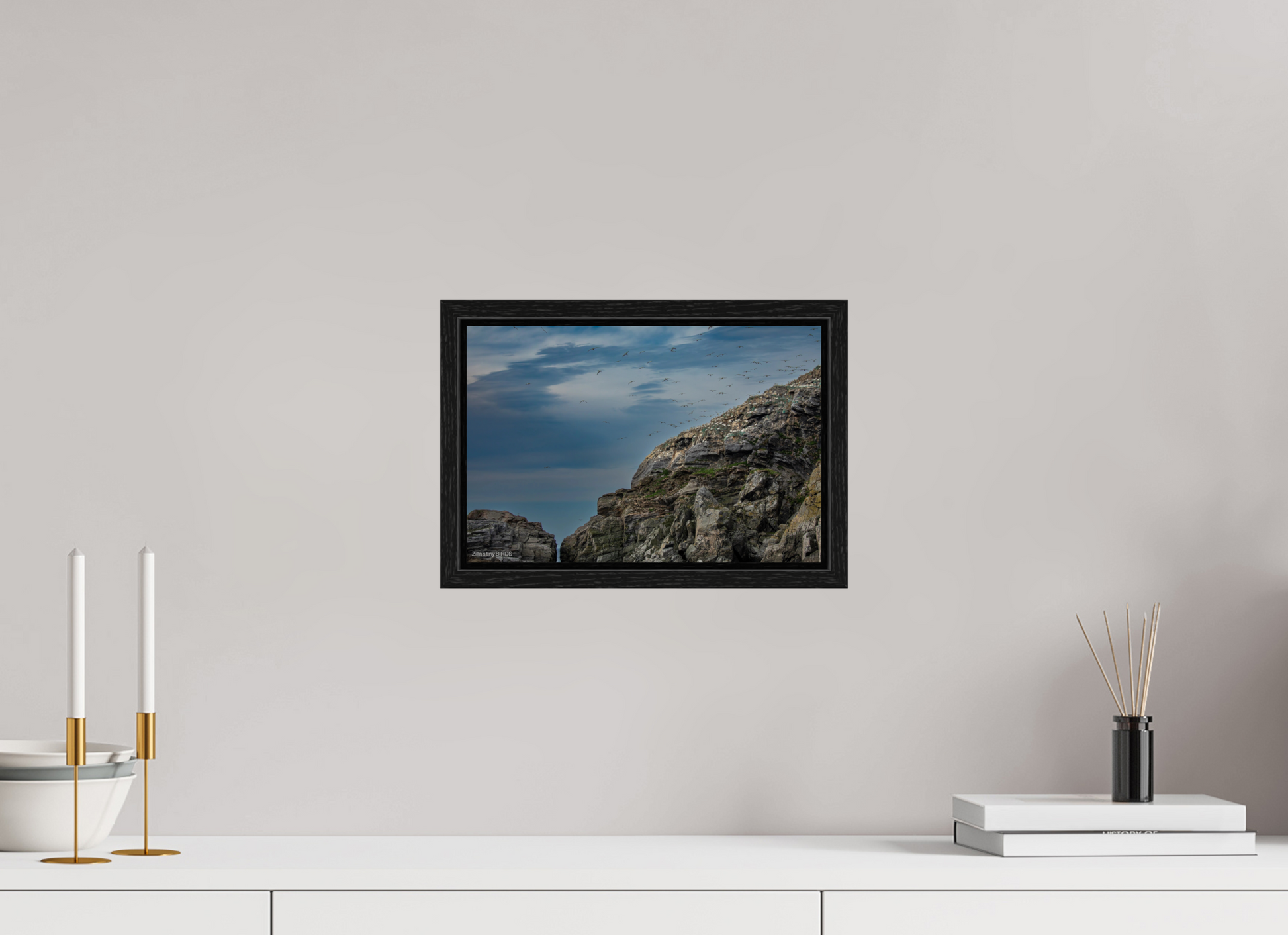 12 x 8″, Floater Frame Zillas Zoom Image 217