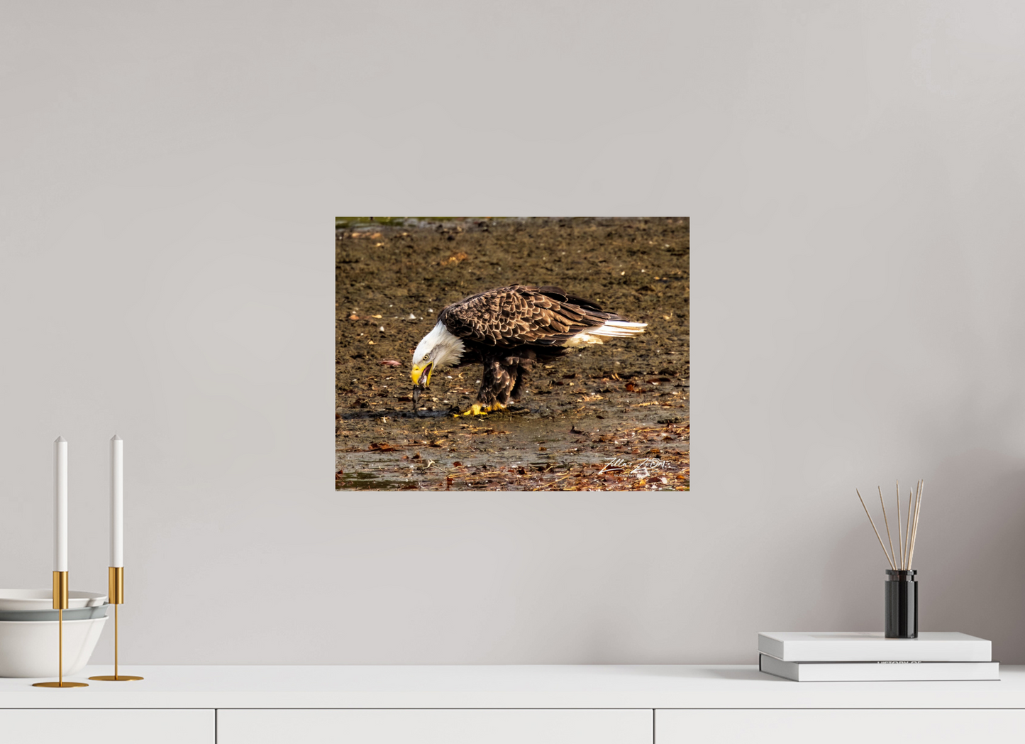15.5 x 12″, Photo Print On Fuji Crystal DP II Zillas Zoom Image 306