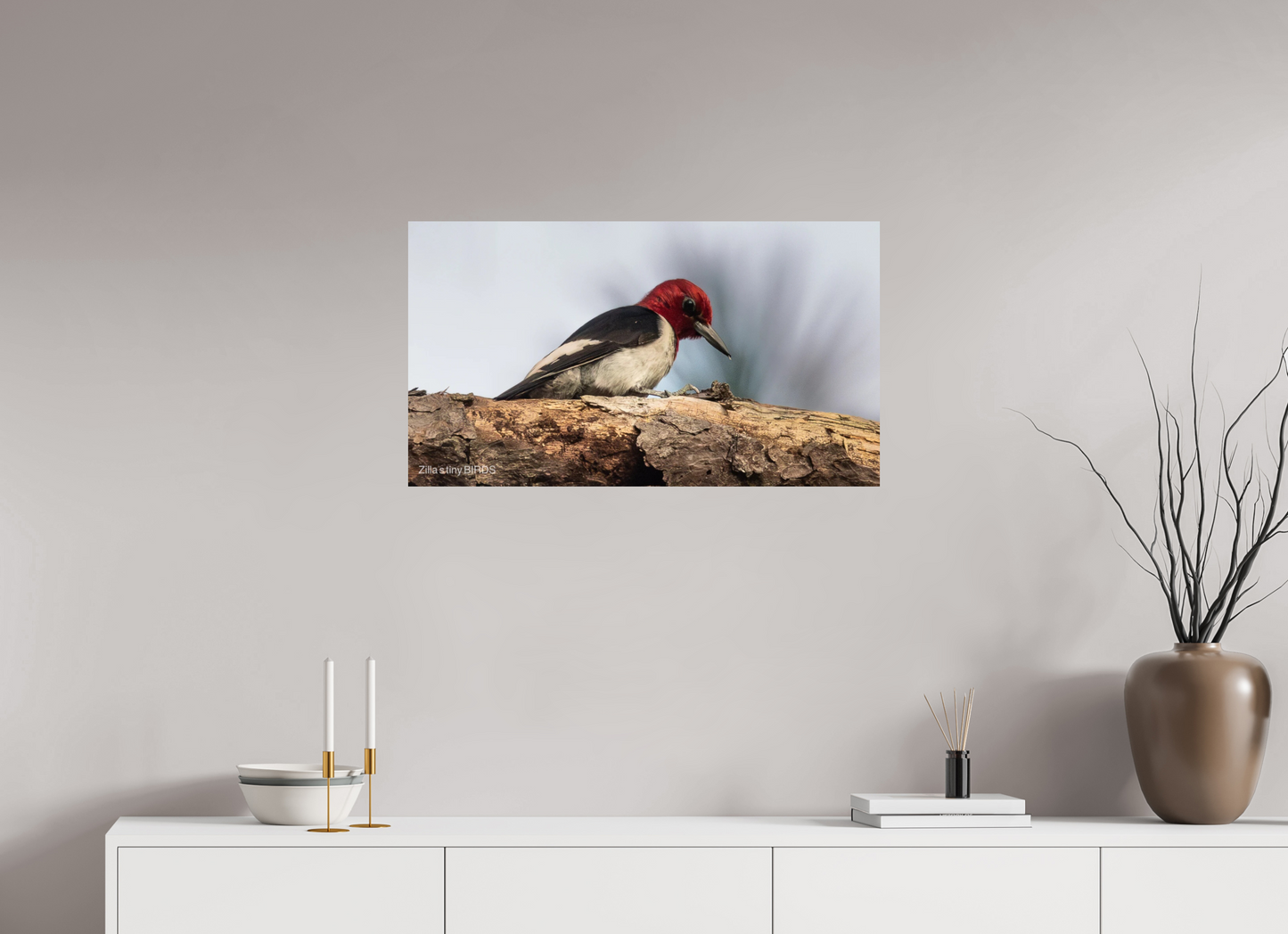 32 x 18″, Photo Print On Fuji Crystal DP II Zillas Zoom Image 391