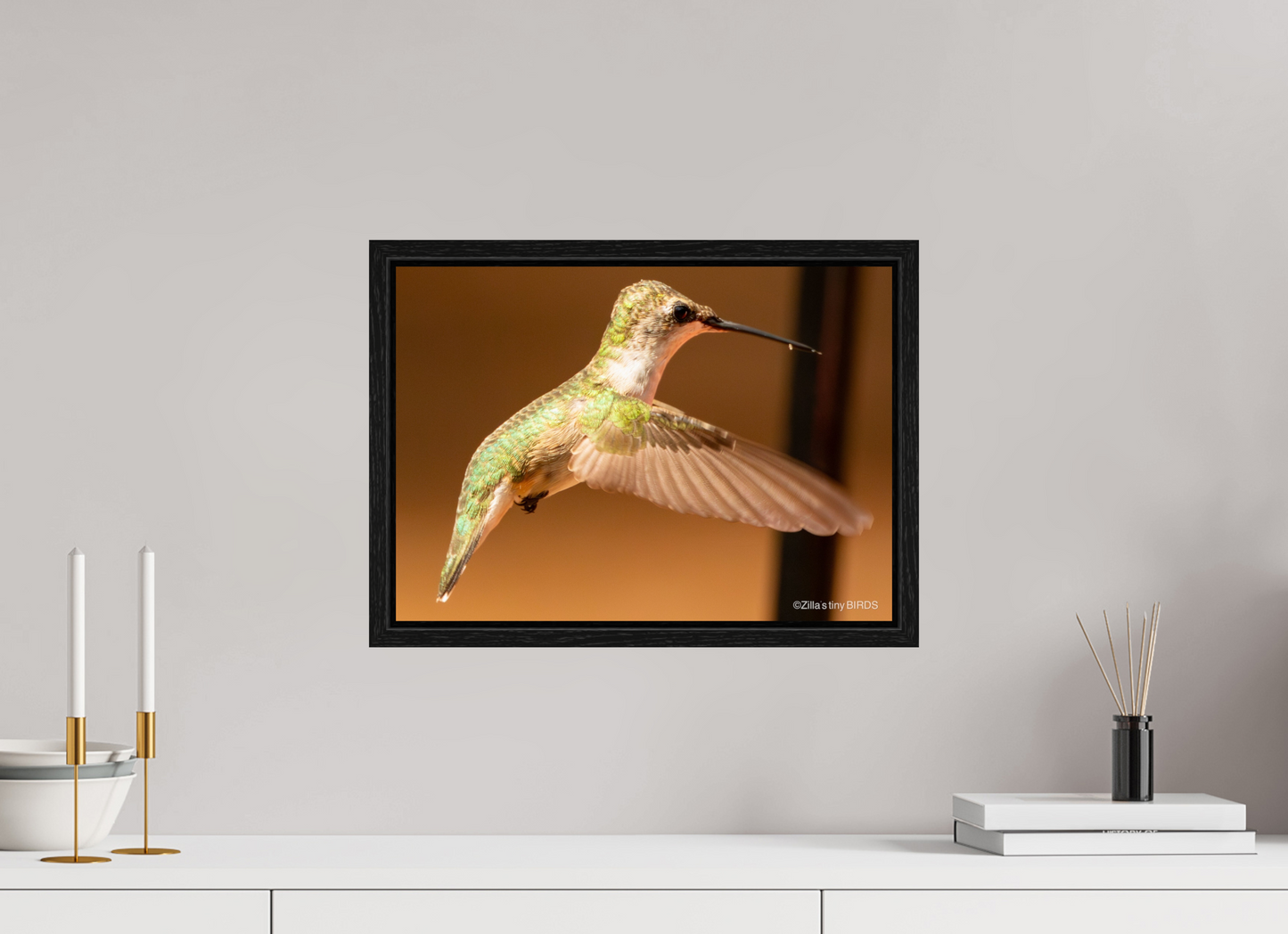 16.8 x 12″, Floater Frame Zillas Zoom Image 351
