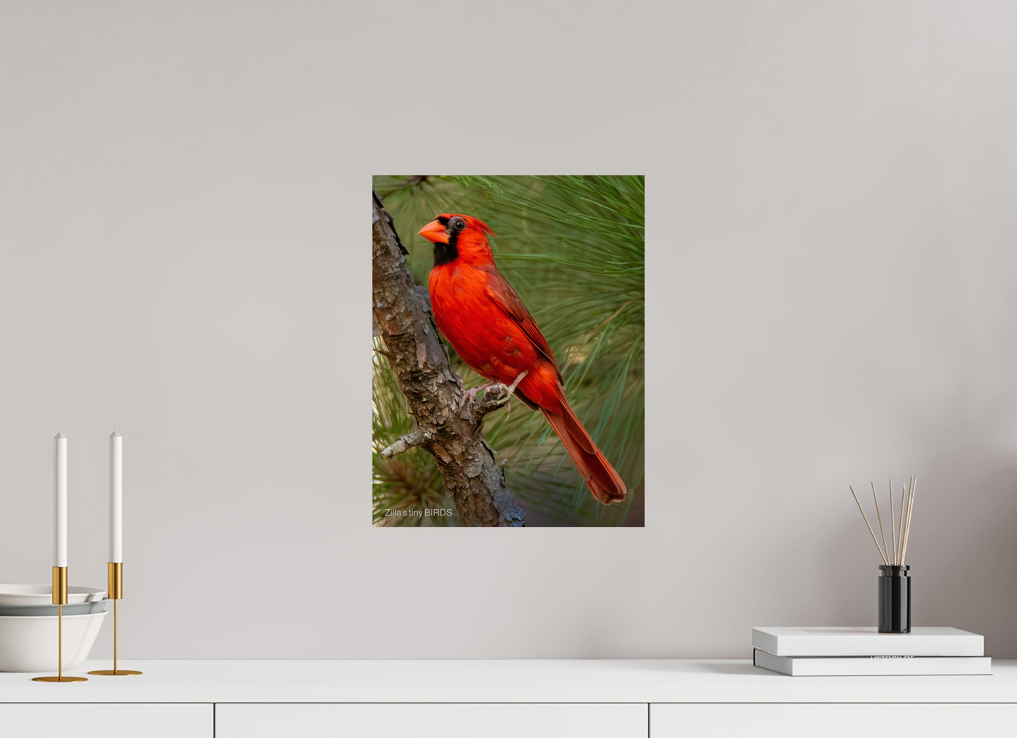 12 x 15.5″, Photo Print On Fuji Crystal DP II Zillas Zoom Image 521