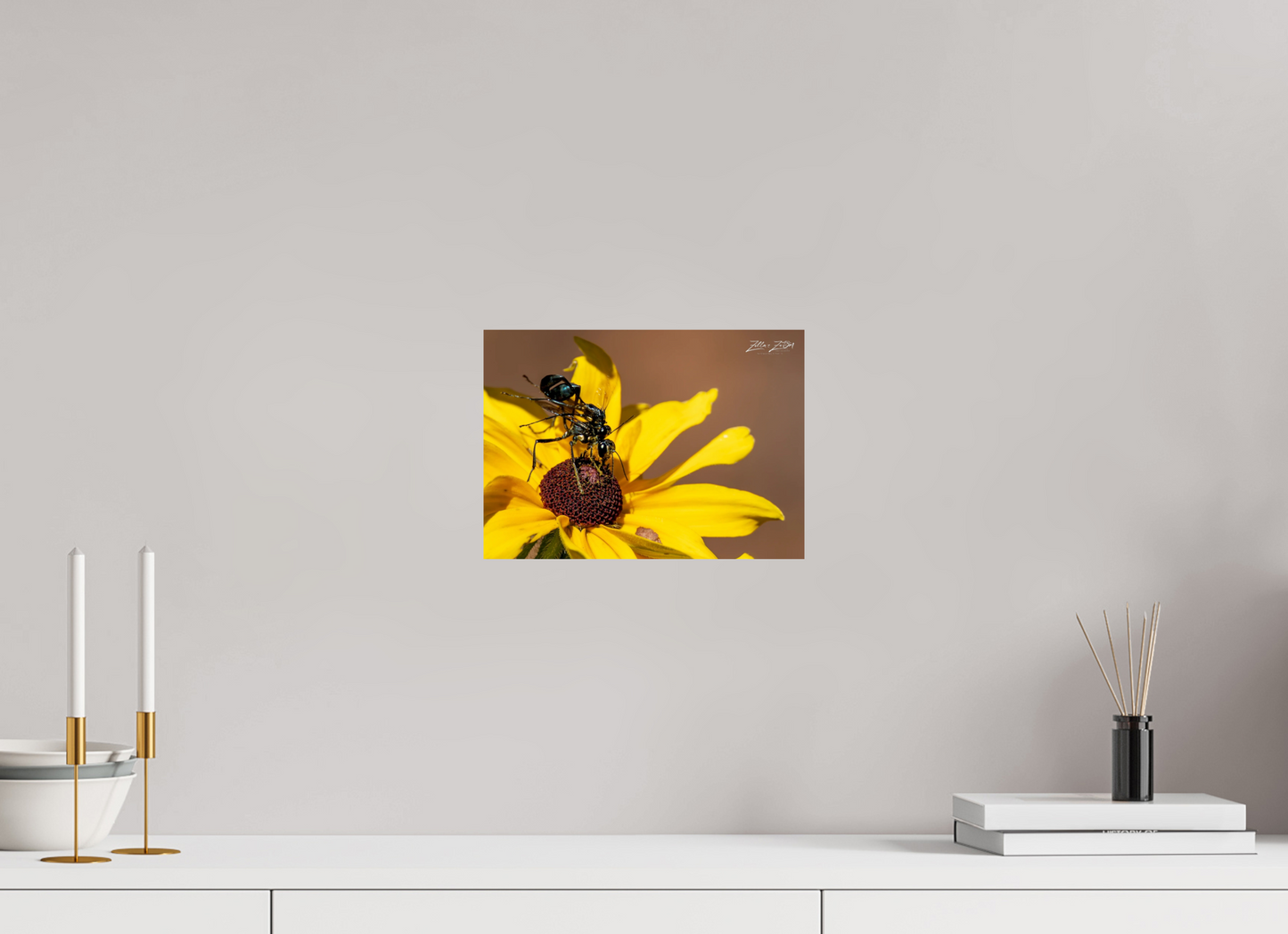 11.2 x 8″, Photo Print On Fuji Crystal DP II Zillas Zoom Image 104