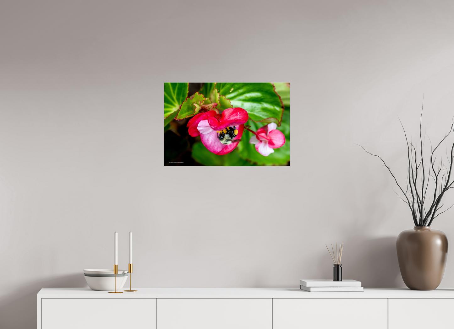 24 x 16″, Photo Print Under Acrylic Glass Zillas Zoom Image 96