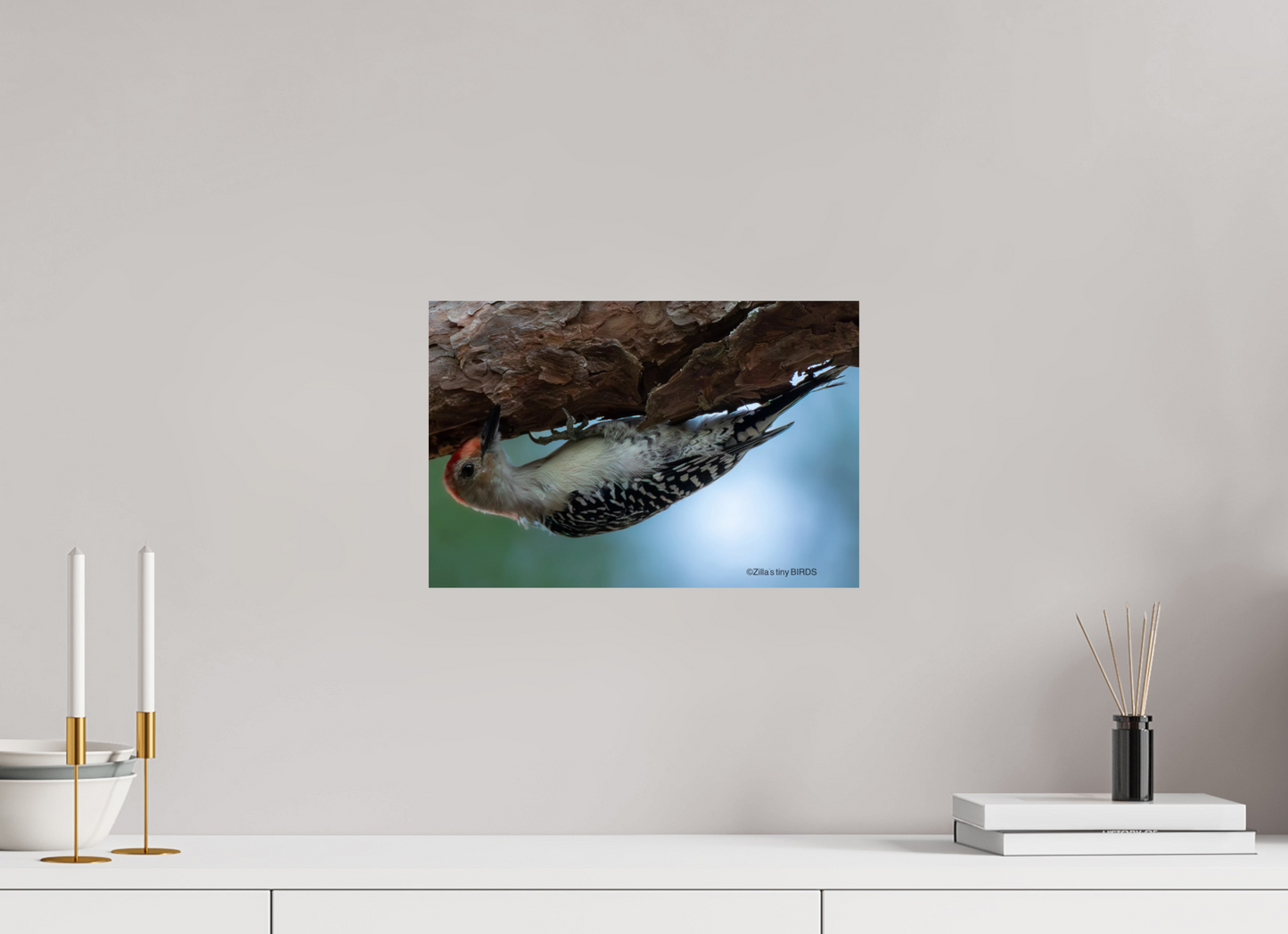 15 x 10″, Photo Print On Fuji Crystal DP II Zillas Zoom Image 319