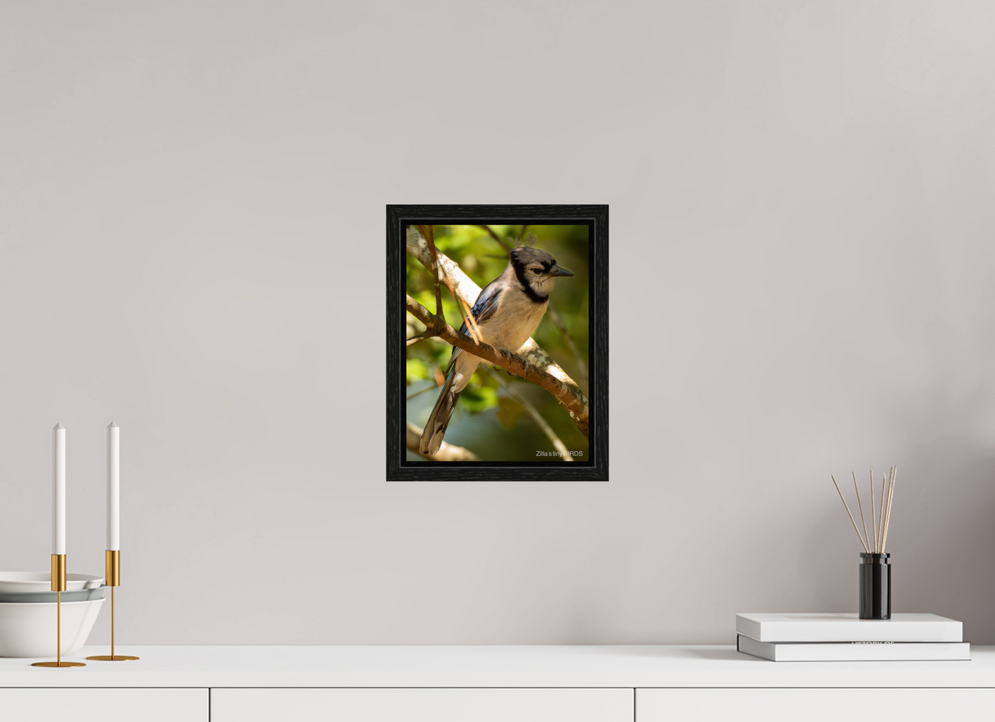 8 x 10.4″, Floater Frame Zillas Zoom Image 519