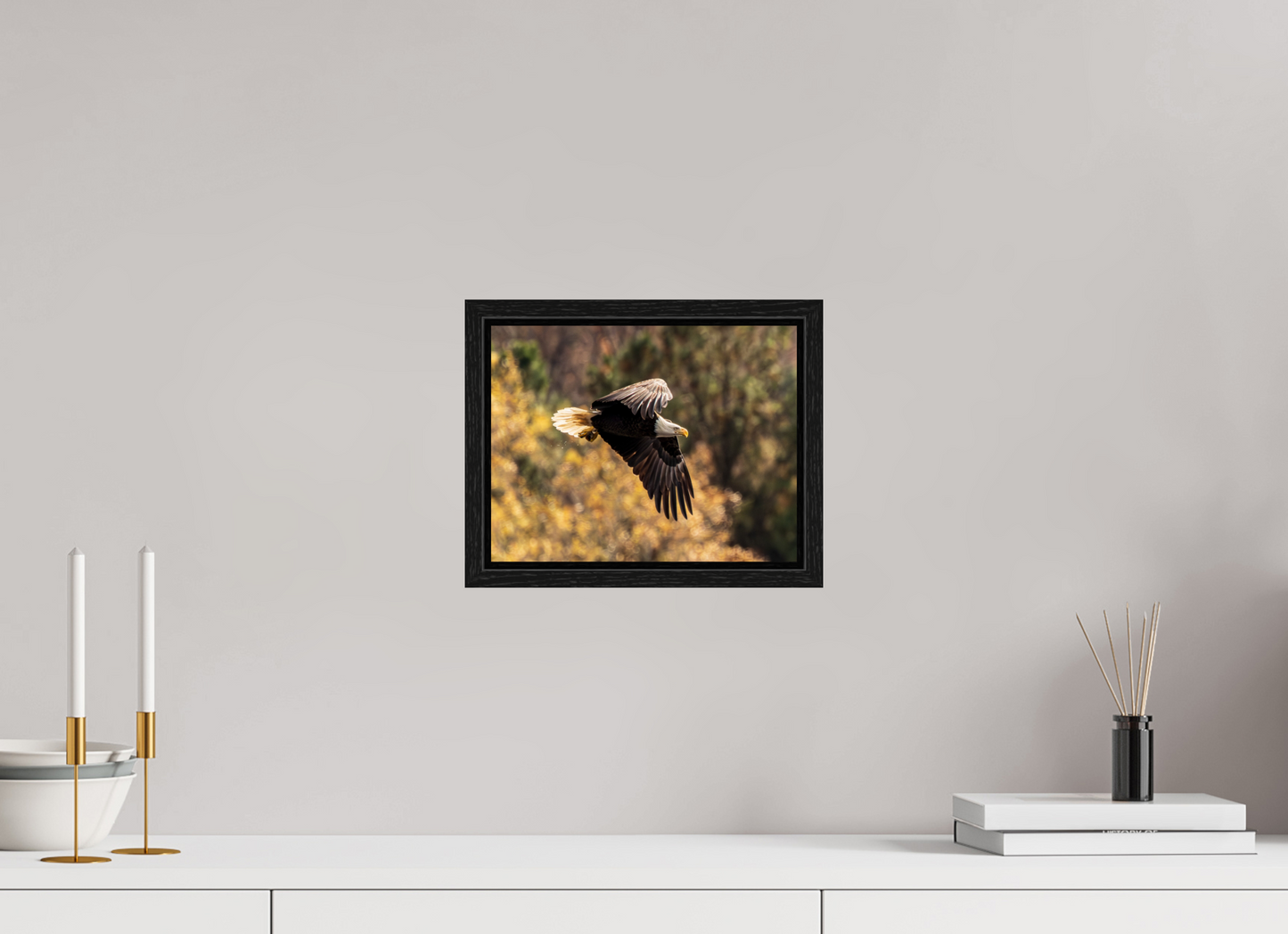 10.4 x 8″, Floater Frame Zillas Zoom Image 395