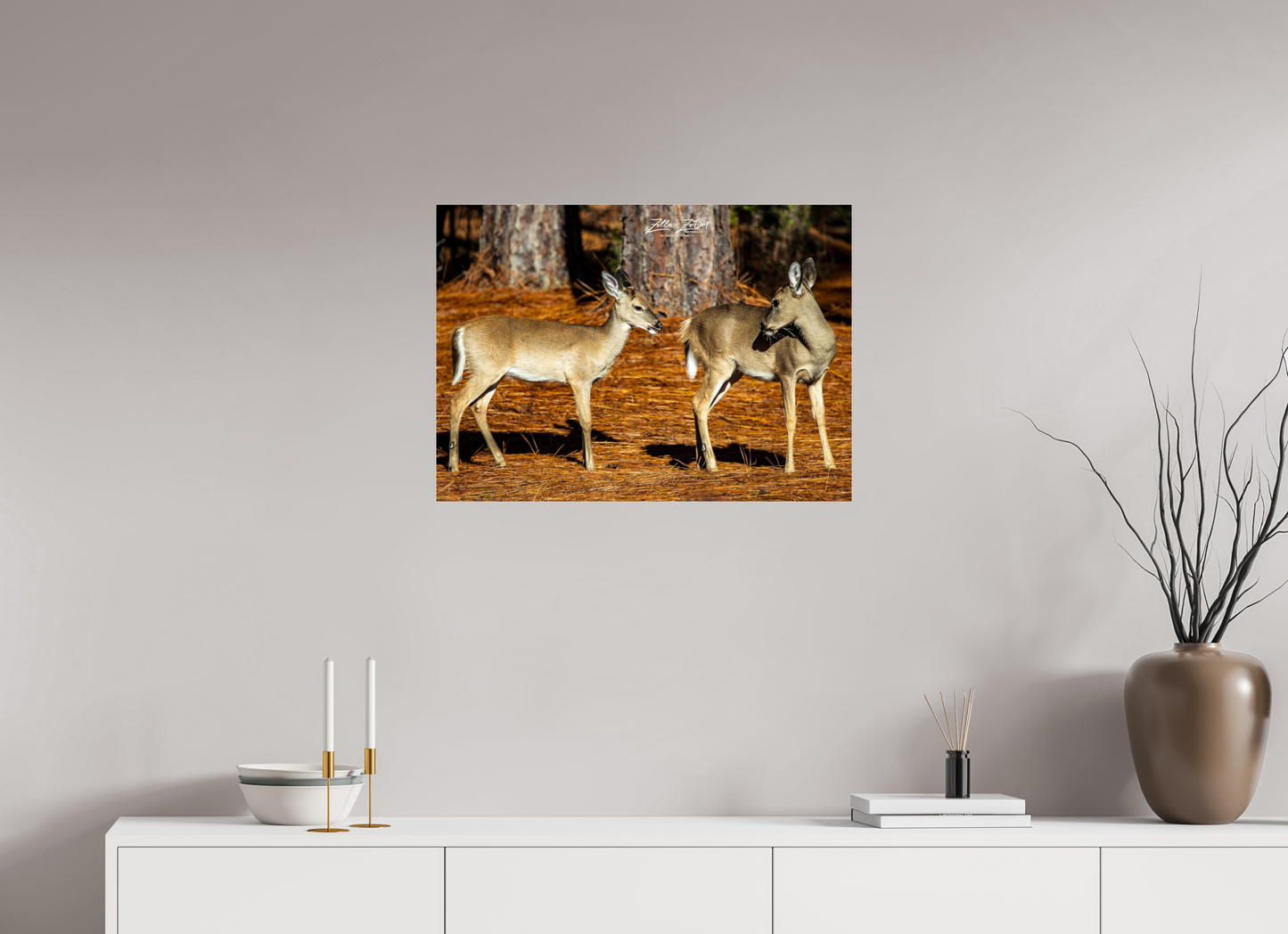 28 x 20″, Photo Print Under Acrylic Glass Zillas zoom image 143