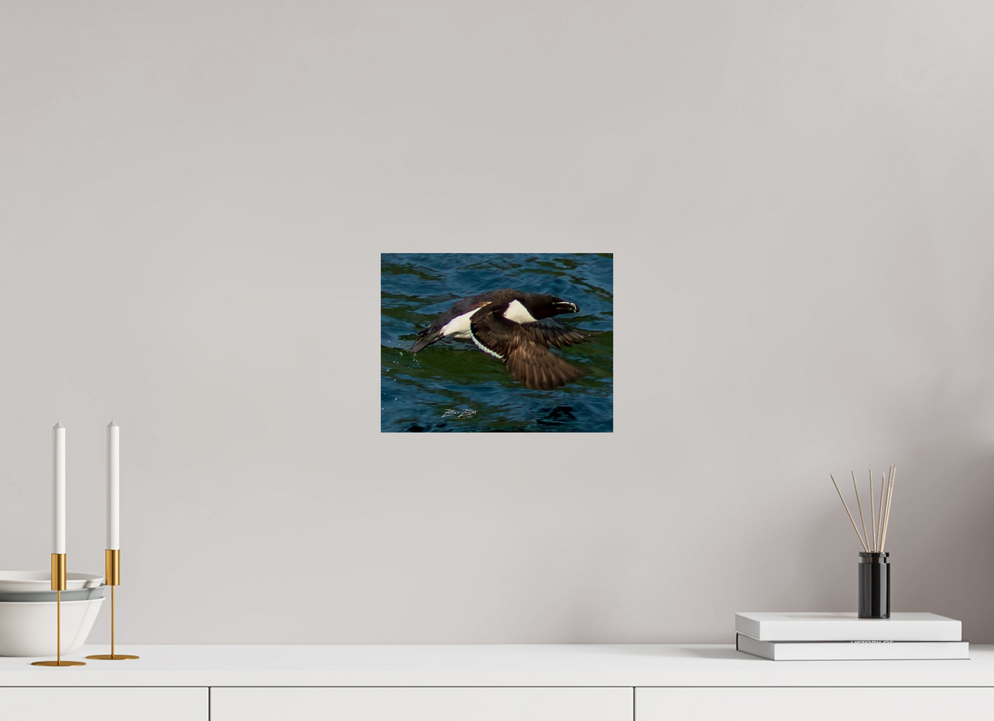 10.4 x 8″, Photo Print Under Acrylic Glass Zillas Zoom Image 332