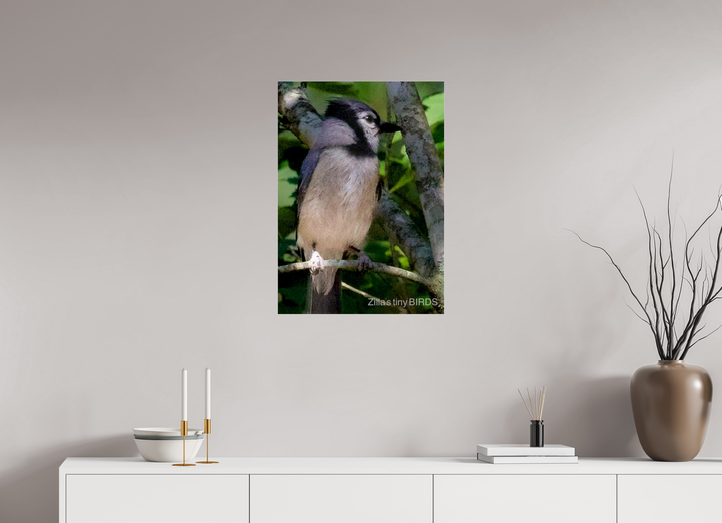 20 x 28″, Photo Print Under Acrylic Glass Zillas Zoom Image 470