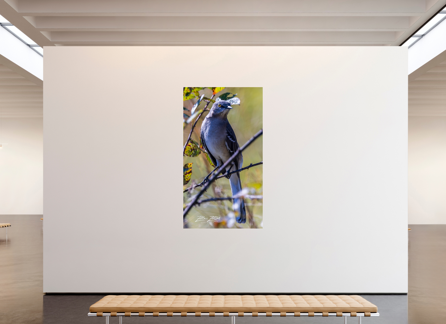 45 x 80″, Photo Print Under Acrylic Glass Zillas Zoom Image 408