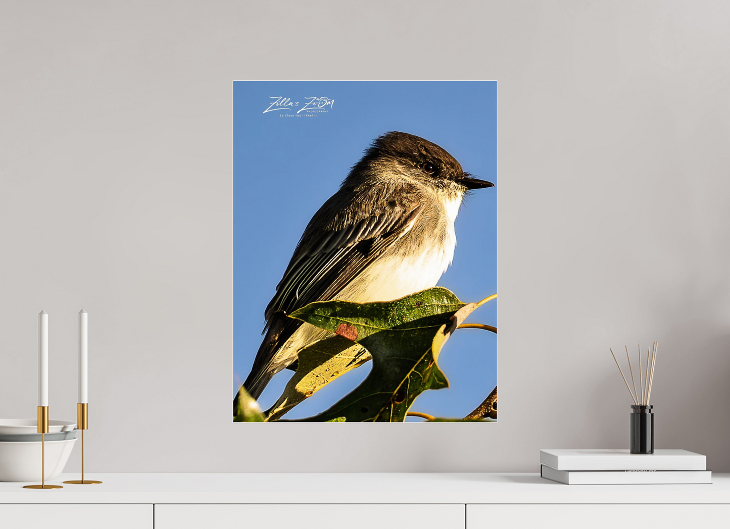 16 x 20.7″, Photo Print Under Acrylic Glass Zillas Zoom Image 428