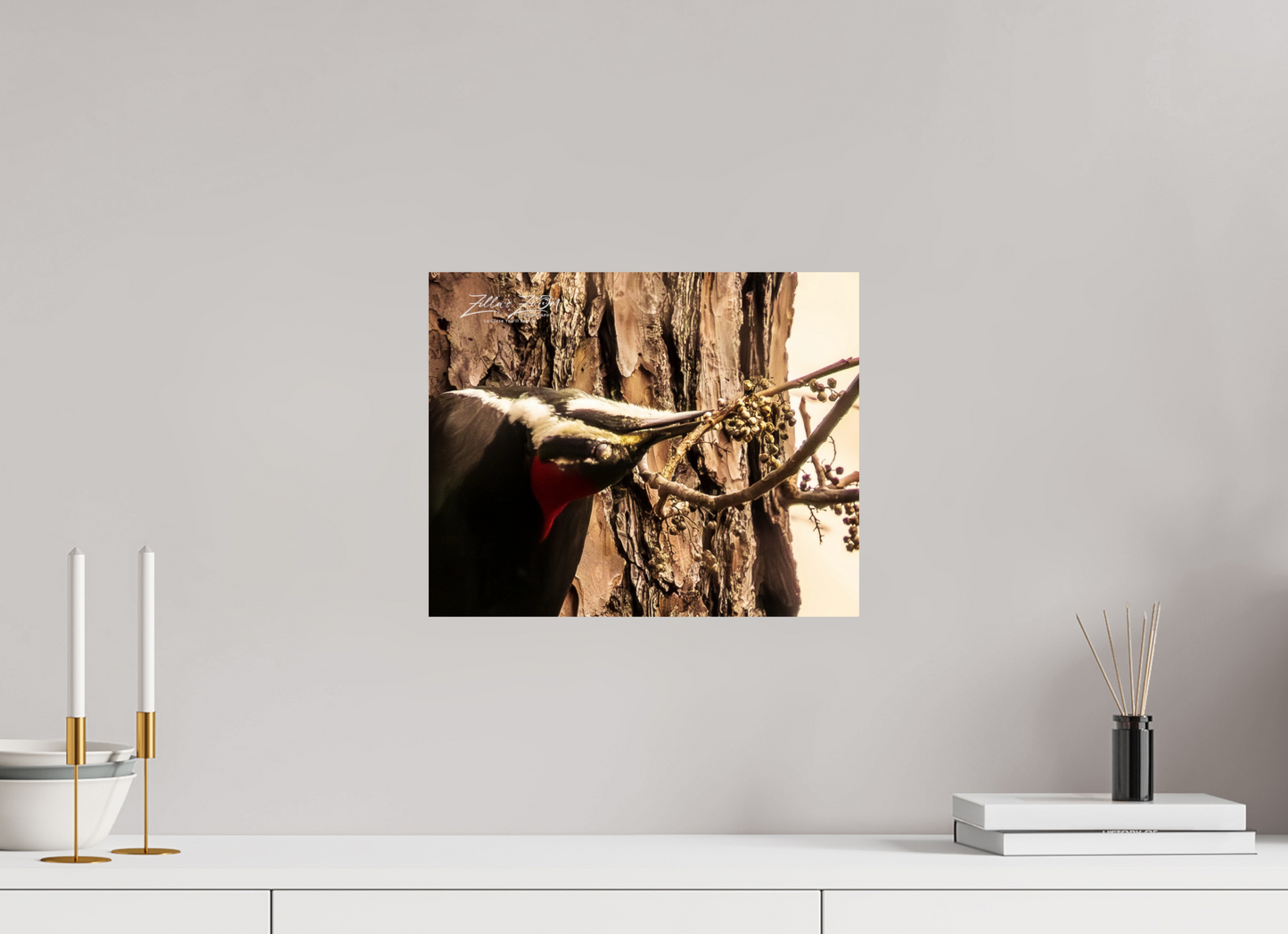 15 x 12″, Photo Print On Fuji Crystal DP II Zillas Zoom Image 280