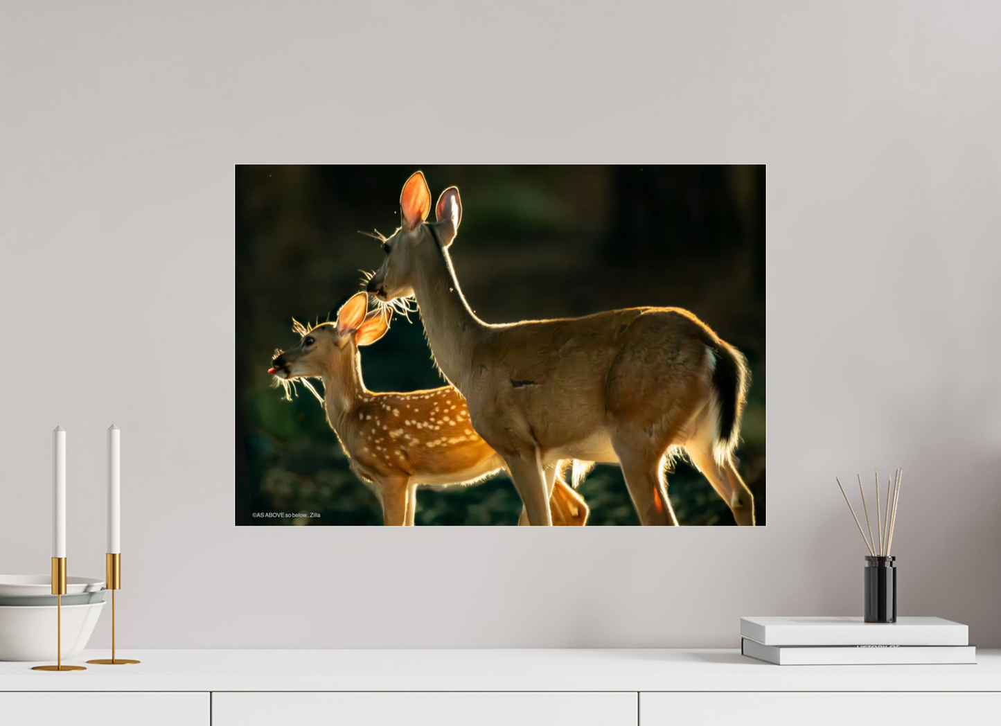 23.5 x 16″, Photo Print Under Acrylic Glass Zillas zoom image 146