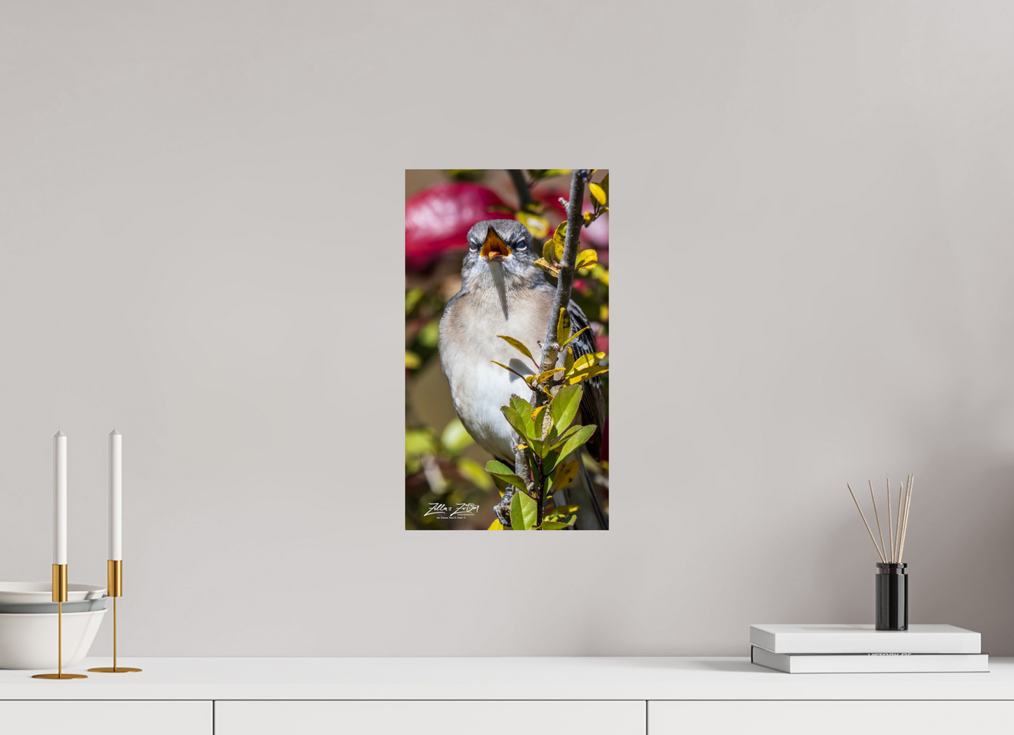 9 x 16″, Photo Print On Fuji Crystal DP II Zillas Zoom Image 405