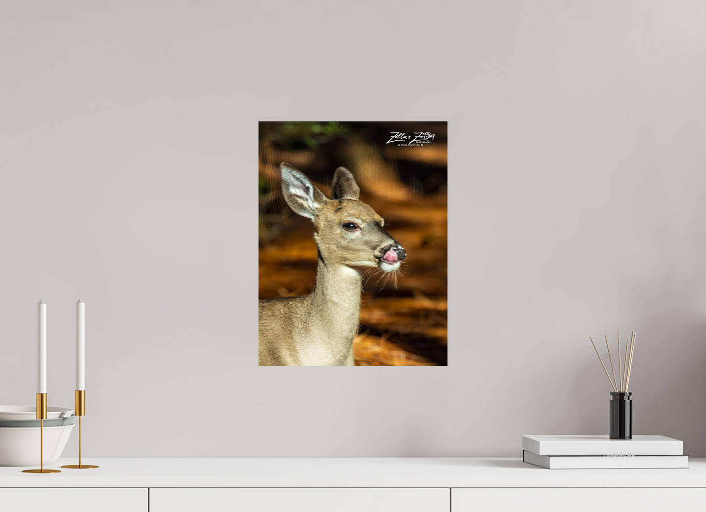 12 x 15.6″, Photo Print On Fuji Crystal DP II Zillas zoom image 152