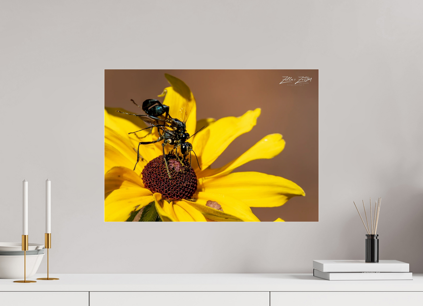 22.4 x 16″, Photo Print Under Acrylic Glass Zillas Zoom Image 104