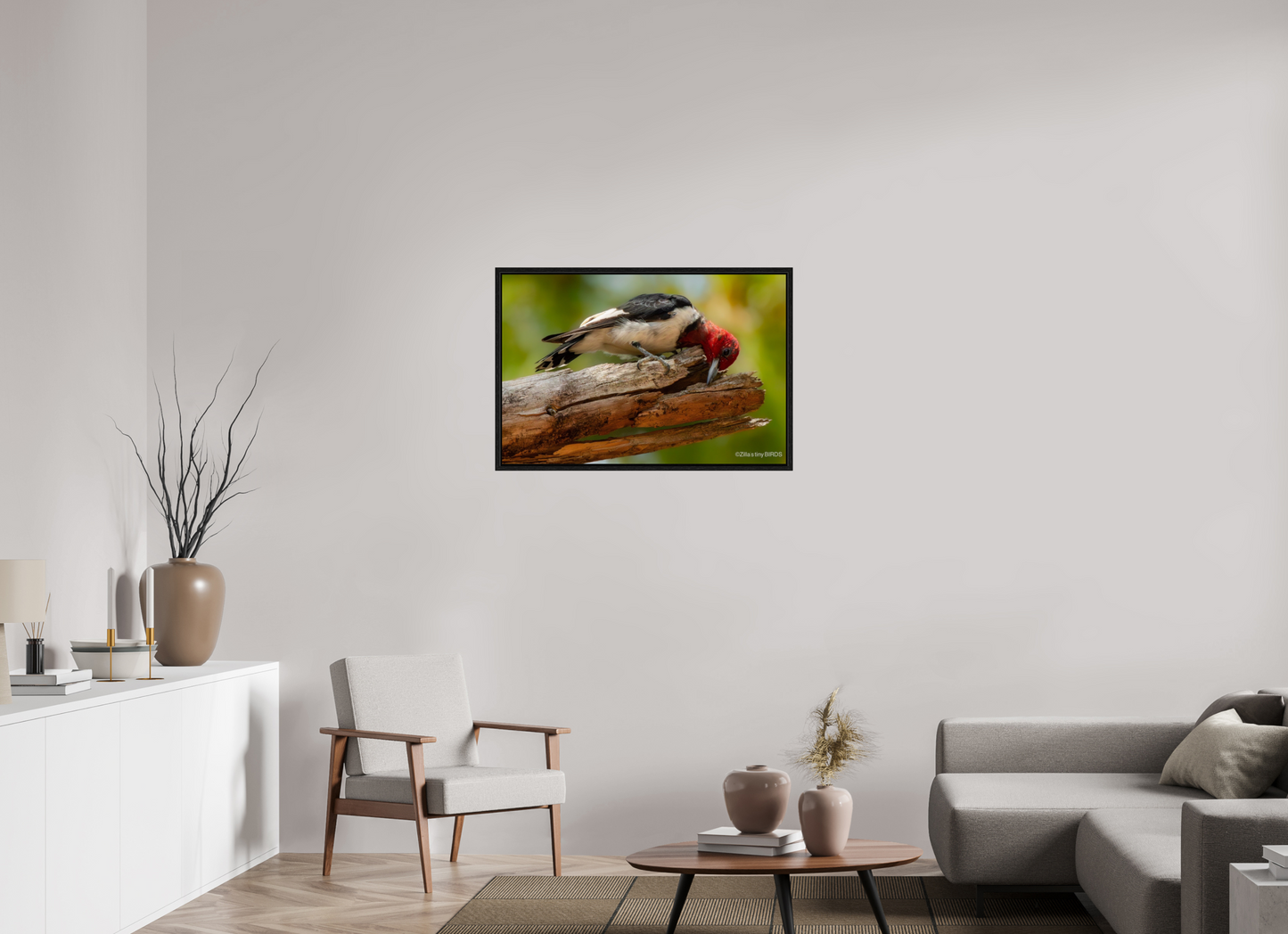 36 x 24″, Floater Frame Zillas Zoom Image 329