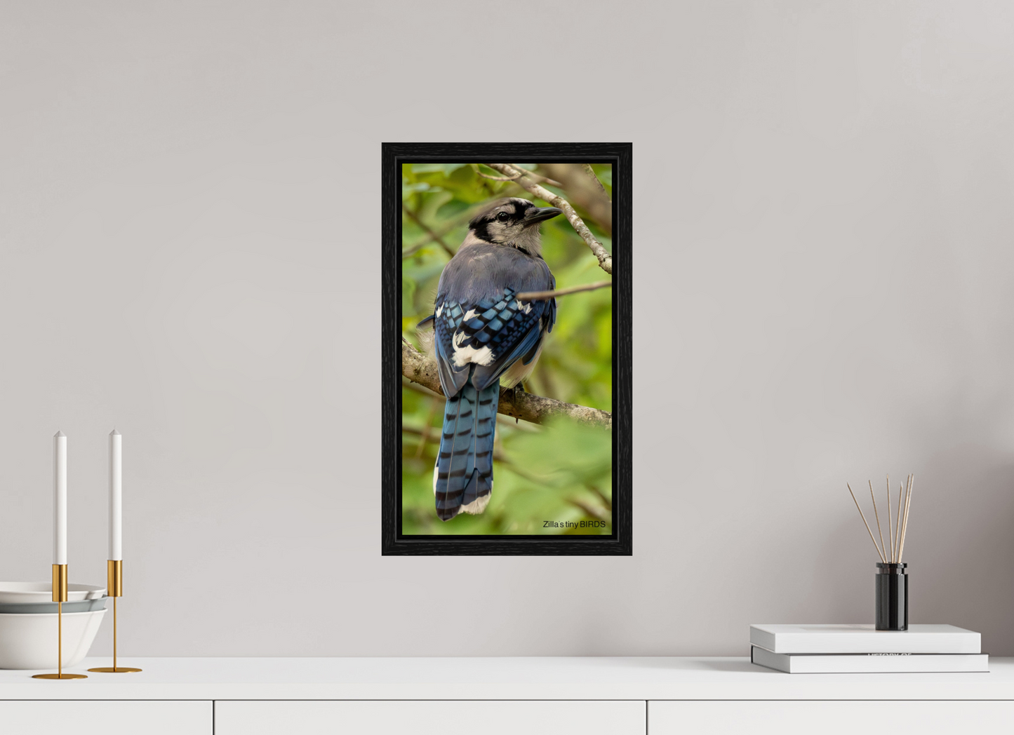 9 x 16″, Floater Frame Zillas Zoom Image 485
