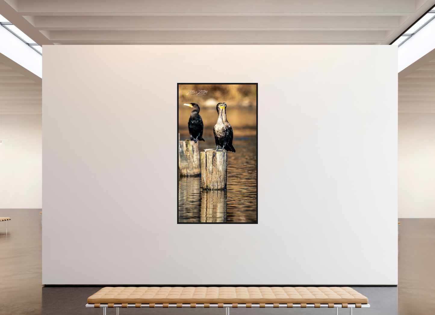 45 x 80″, Floater Frame Zillas Zoom Image 426