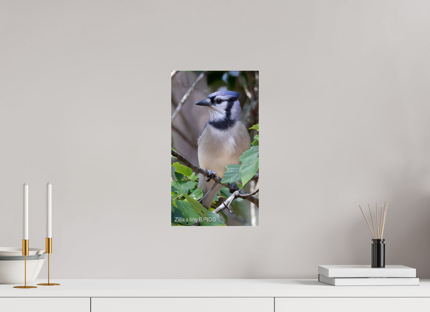 9 x 16″, Photo Print Under Acrylic Glass Zillas Zoom Image 483