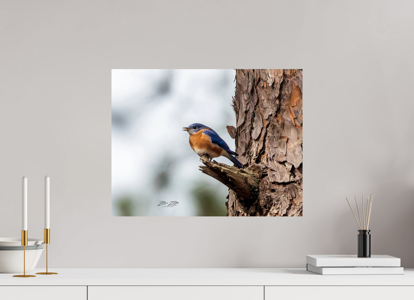 20.7 x 16″, Photo Print On Fuji Crystal DP II Zillas Zoom Image 349