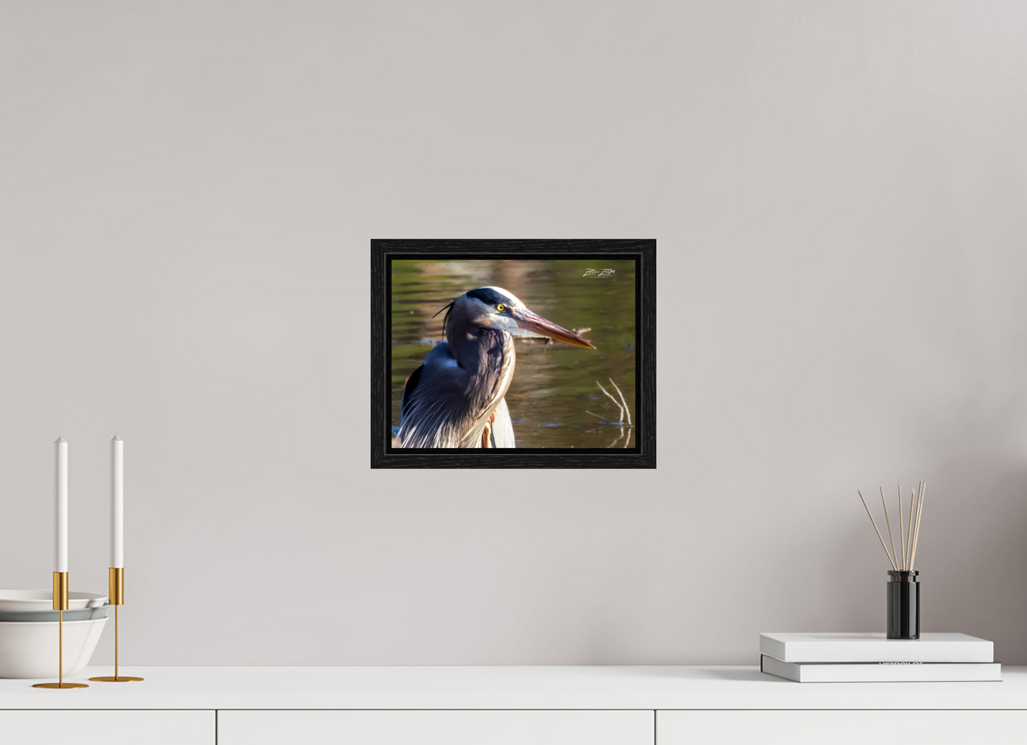 10.4 x 8″, Floater Frame Zillas Zoom Image 267