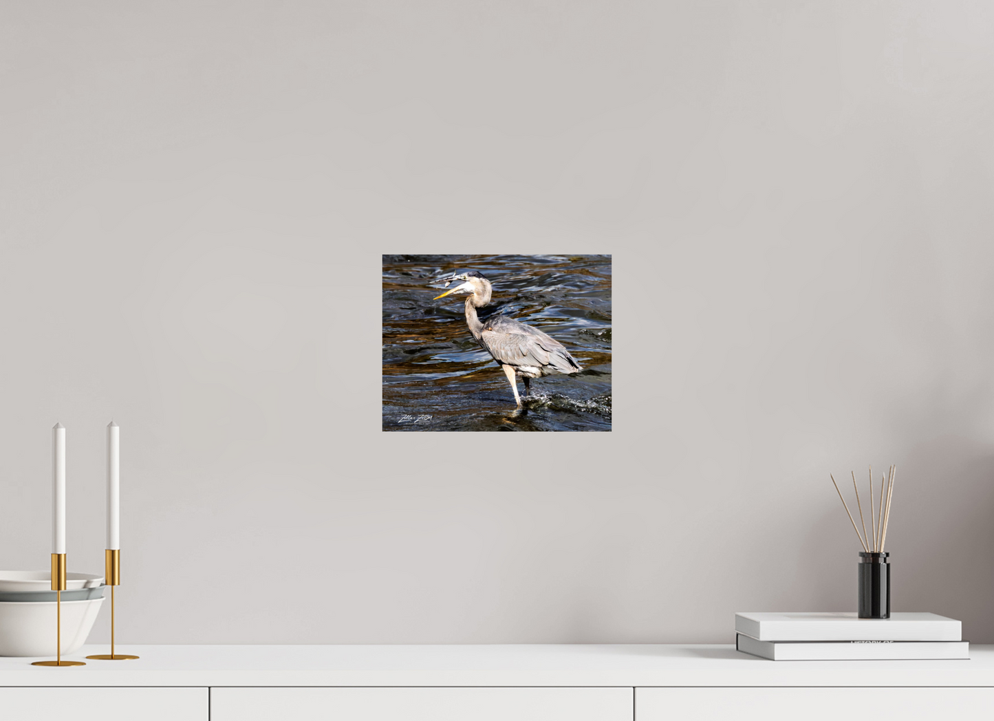 10.4 x 8″, Photo Print On Fuji Crystal DP II Zillas Zoom Image 281