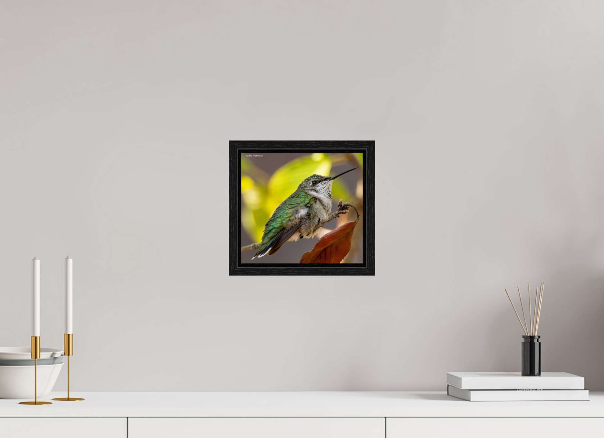 8.8 x 8″, Floater Frame Zillas Zoom Image 347