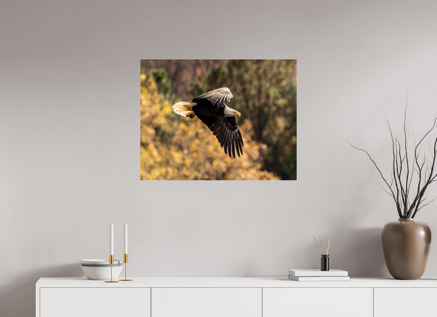 31.1 x 24″, Photo Print Under Acrylic Glass Zillas Zoom Image 395