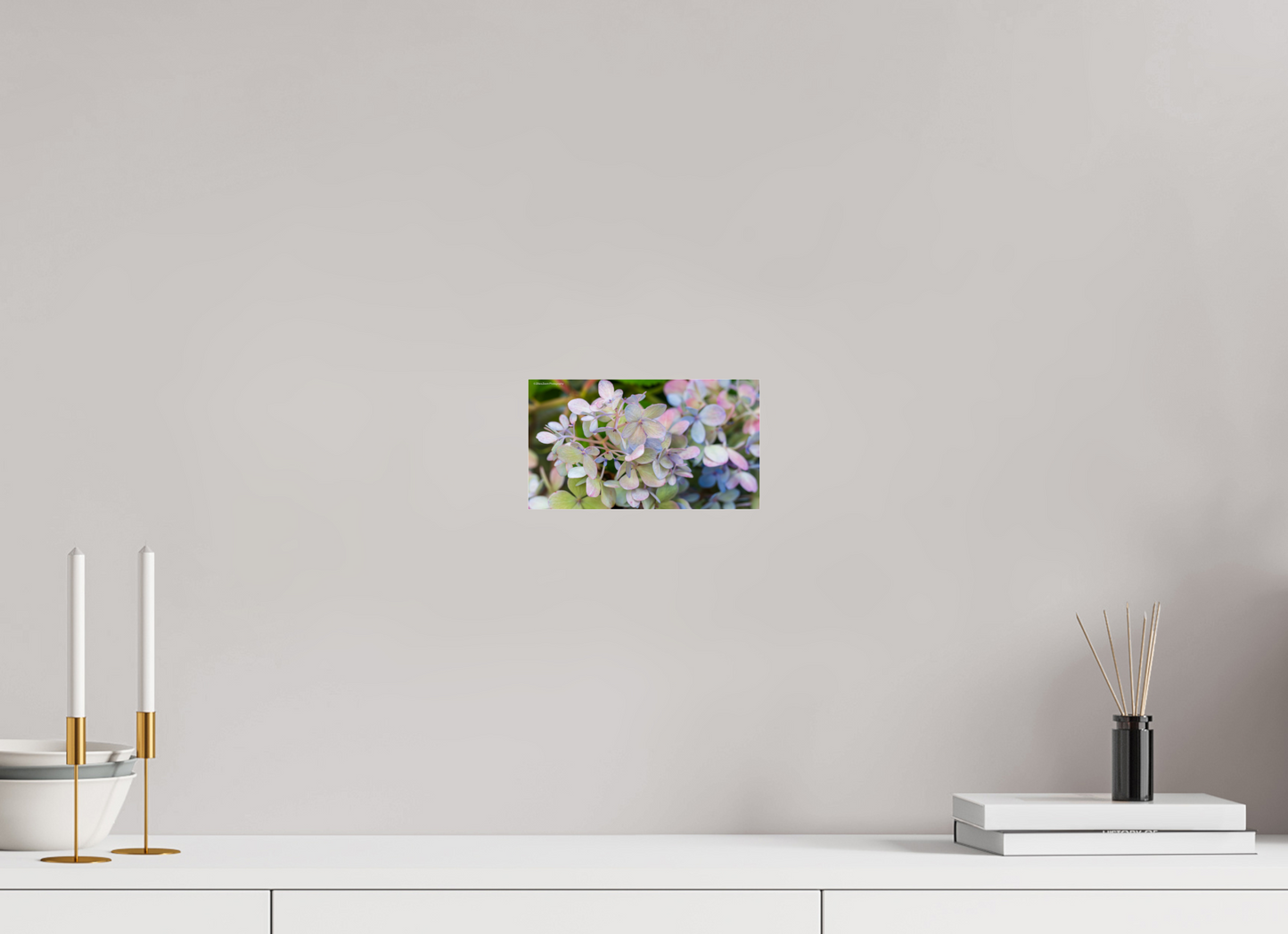8 x 4.5″, Photo Print Under Acrylic Glass Zillas Zoom Image 90