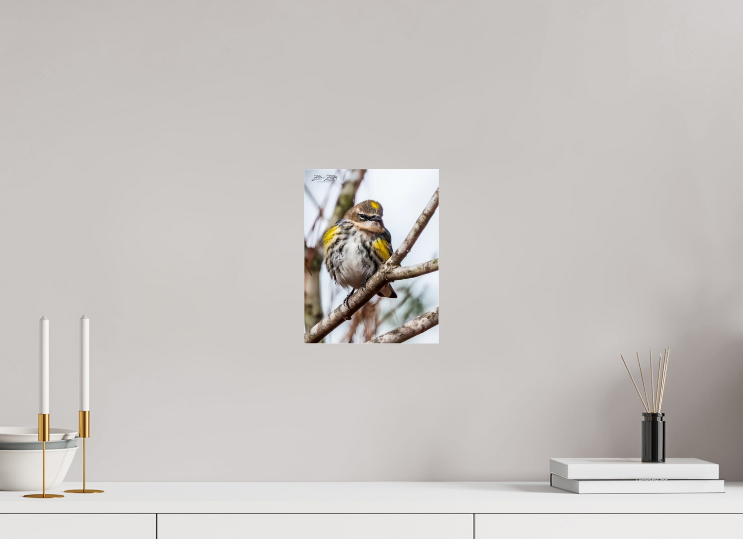 8 x 10.4″, Photo Print Under Acrylic Glass Zillas Zoom Image 496