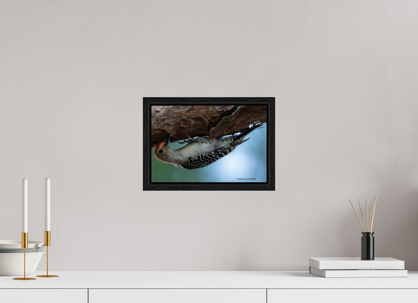 12 x 8″, Floater Frame Zillas Zoom Image 319