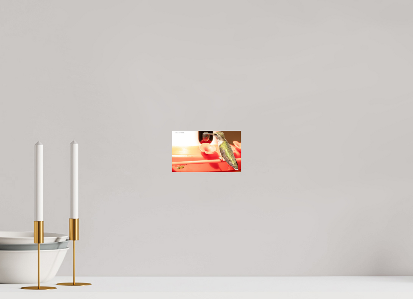 6.6 x 4″, Photo Print Under Acrylic Glass Zillas Zoom Image 320