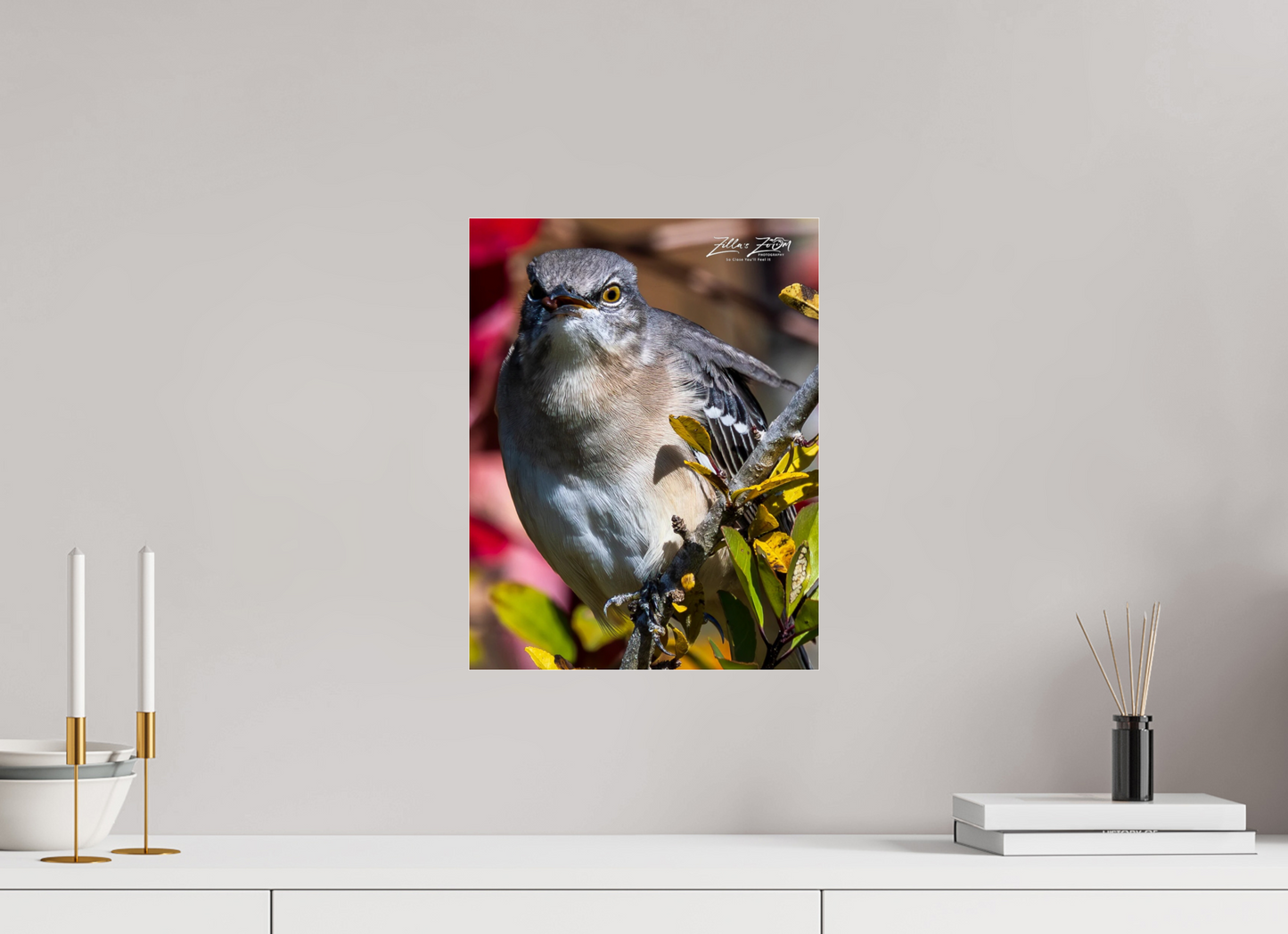 12 x 15.5″, Photo Print Under Acrylic Glass Zillas Zoom Image 402