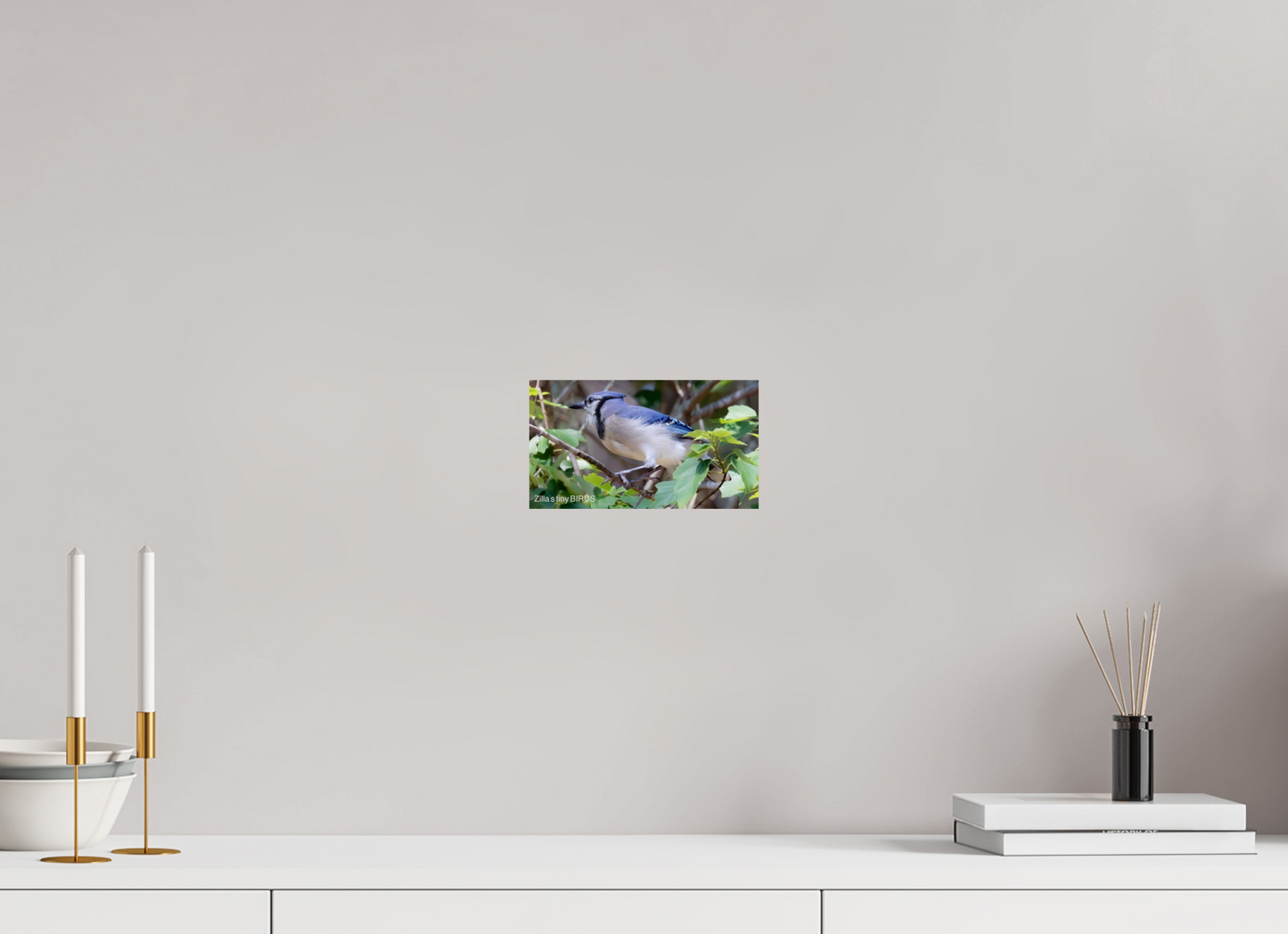 8 x 4.5″, Photo Print On Fuji Crystal DP II Zillas Zoom Image 377