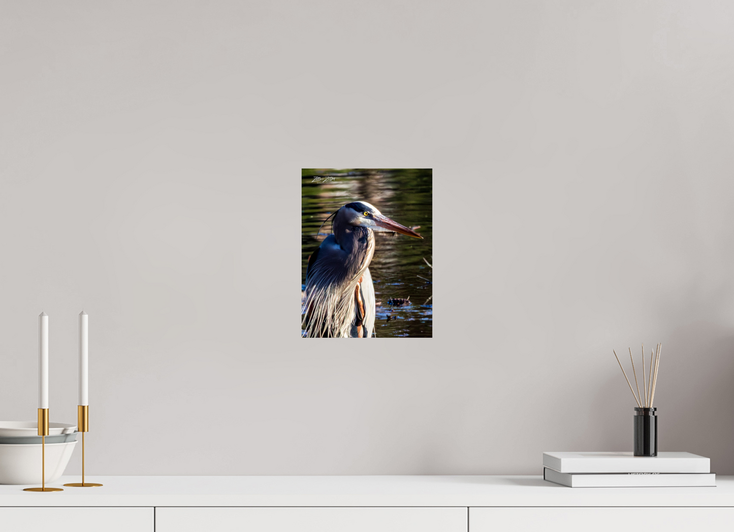 8 x 10.4″, Photo Print On Fuji Crystal DP II Zillas Zoom Image 409