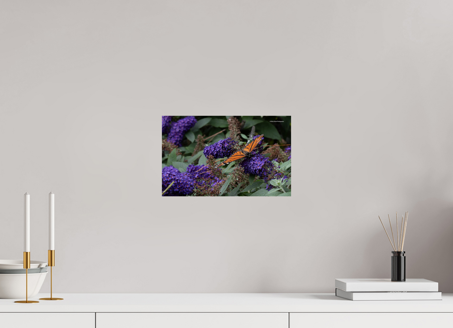 12.8 x 8″, Photo Print On Fuji Crystal DP II Zillas Zoom Image 58