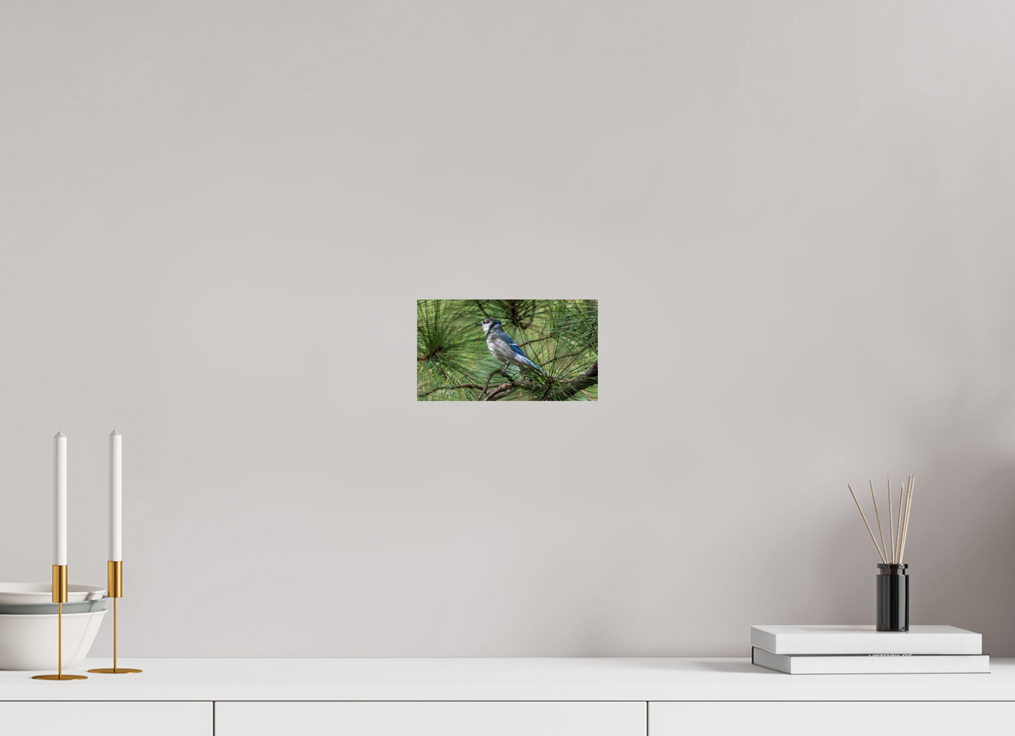 8 x 4.5″, Photo Print On Fuji Crystal DP II Zillas Zoom Image 344