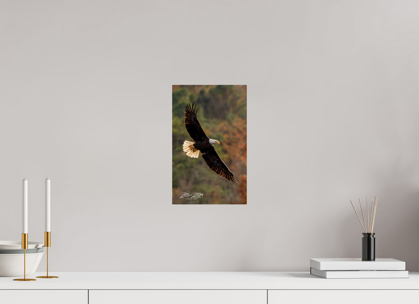 8 x 12.8″, Photo Print On Fuji Crystal DP II Zillas Zoom Image 417