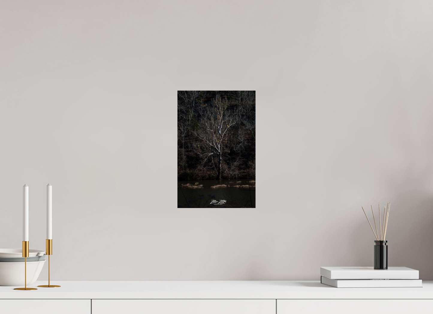 8 x 12″, Photo Print Under Acrylic Glass Zillas Zoom Image 255