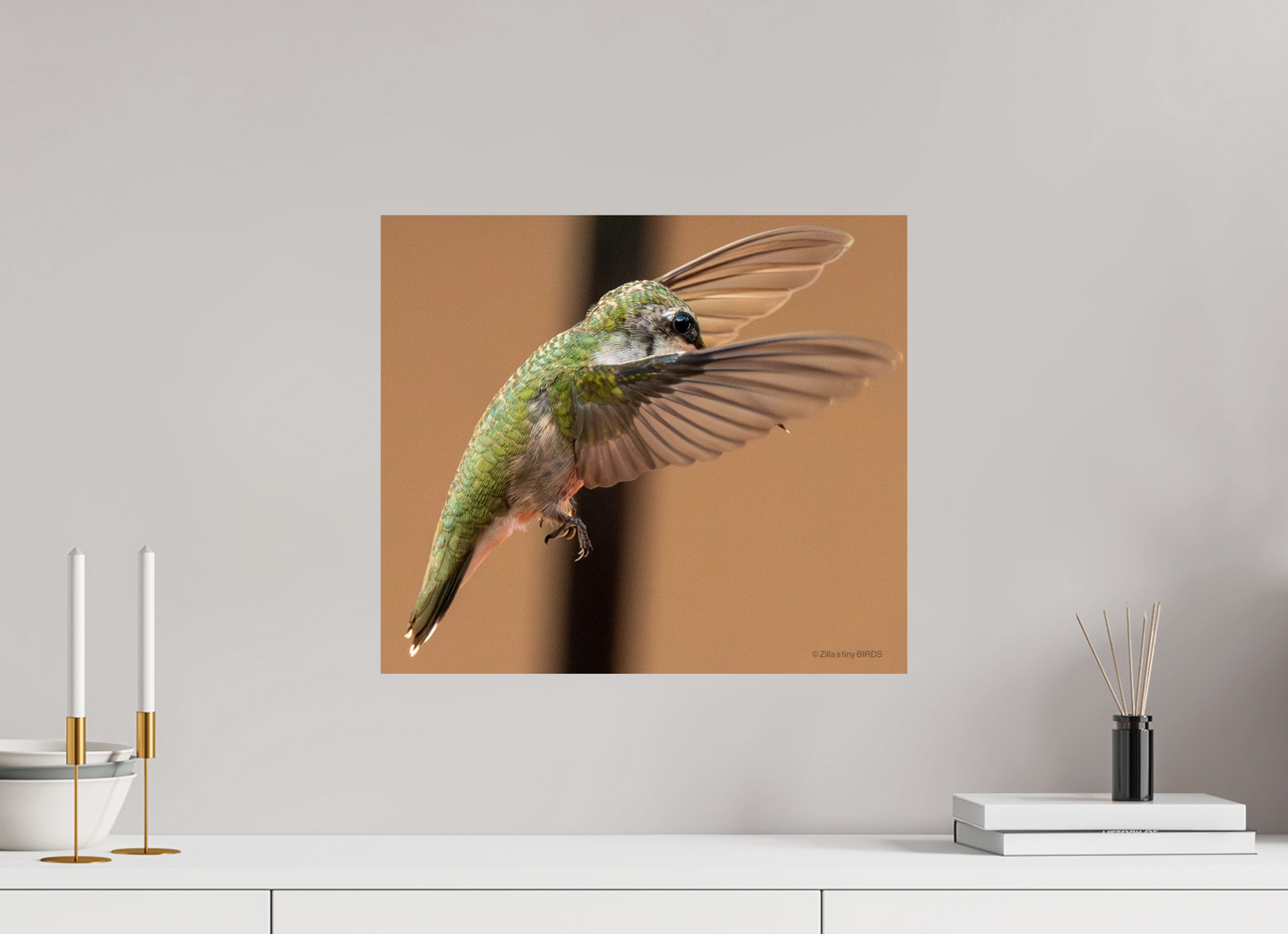 18.3 x 16″, Photo Print On Fuji Crystal DP II Zillas Zoom Image 376