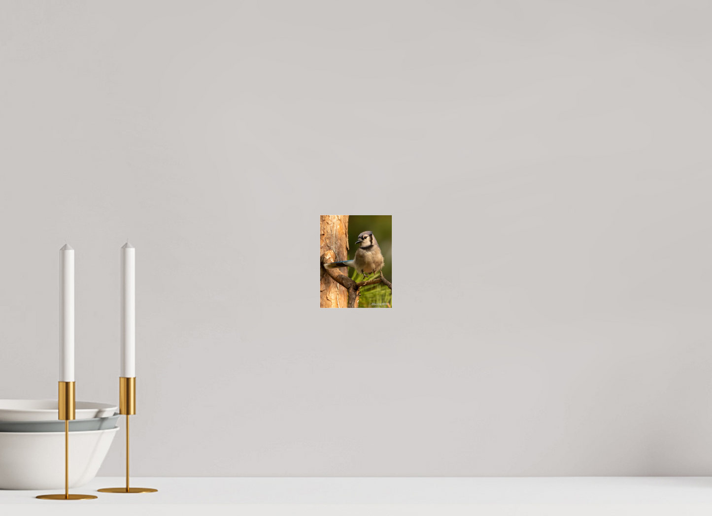 4 x 5.2″, Photo Print Under Acrylic Glass Zillas Zoom Image 520