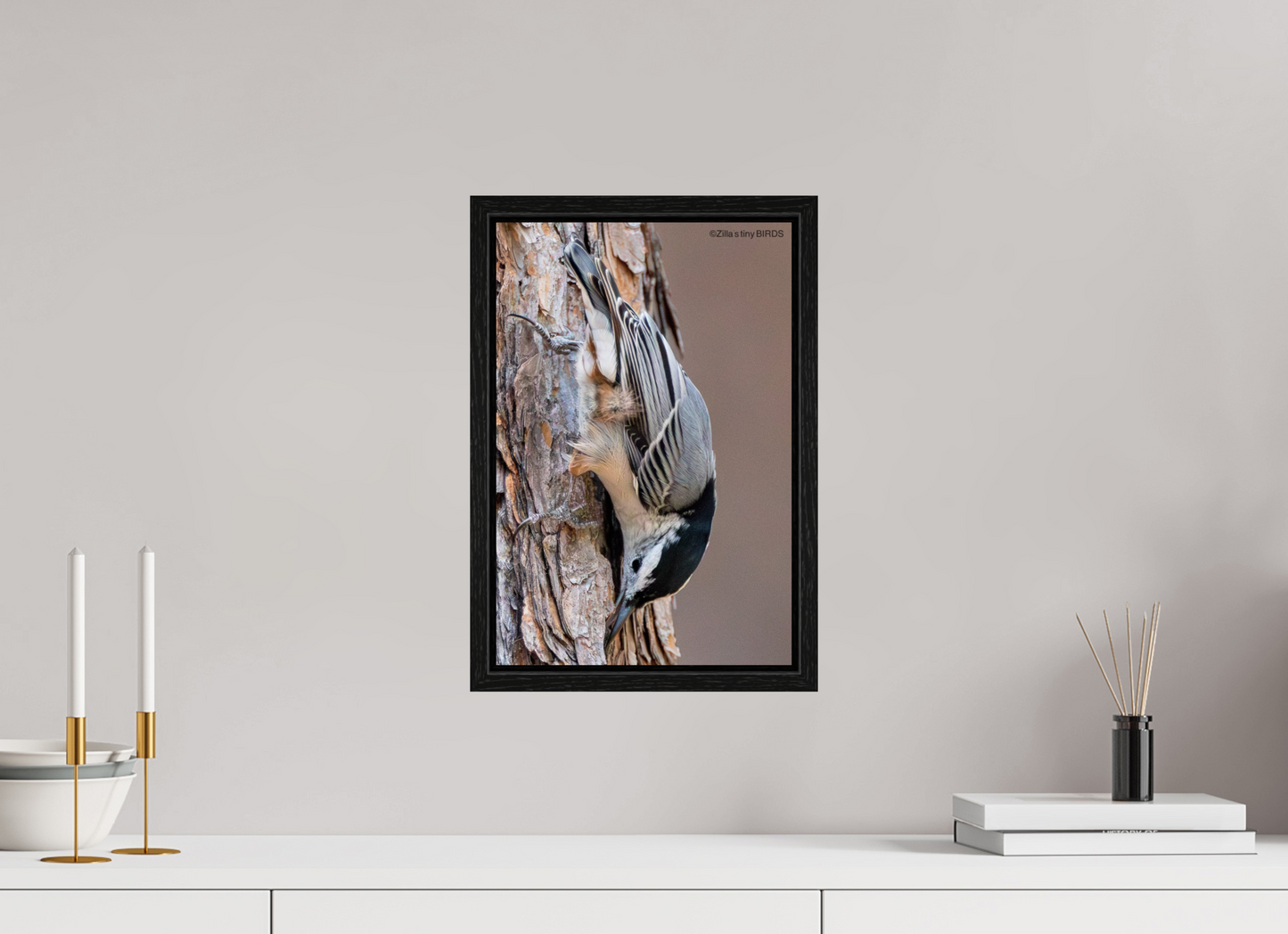 10 x 15″, Floater Frame Zillas Zoom Image 432