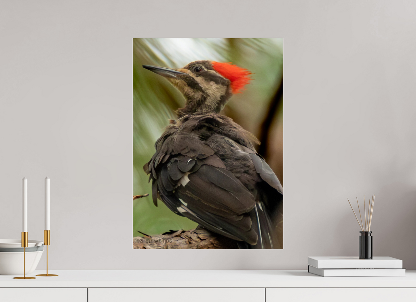 16 x 22.4″, Photo Print Under Acrylic Glass Zillas Zoom Image 443