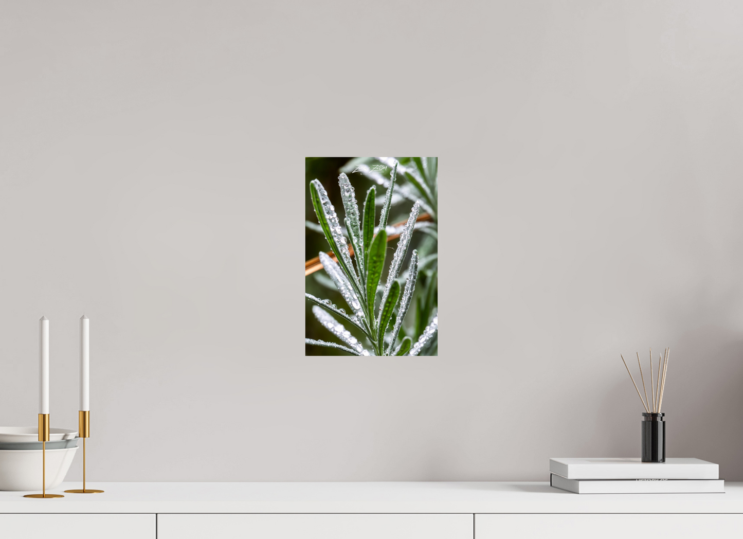 8 x 12″, Photo Print On Fuji Crystal DP II Zillas Zoom Image 110