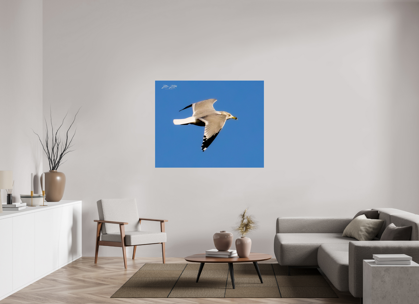 53.8 x 43″, Photo Print Under Acrylic Glass Zillas Zoom Image 266
