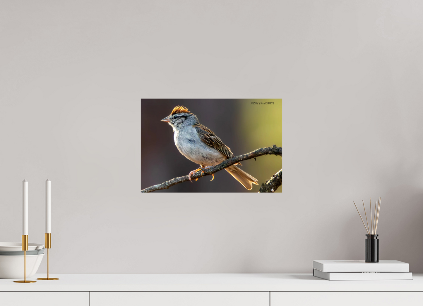 15 x 10″, Photo Print On Fuji Crystal DP II Zillas Zoom Image 308