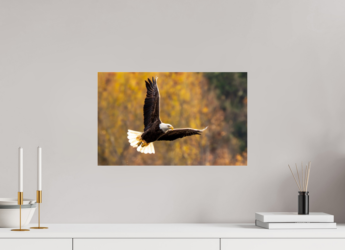 19.2 x 12″, Photo Print Under Acrylic Glass Zillas Zoom Image 394