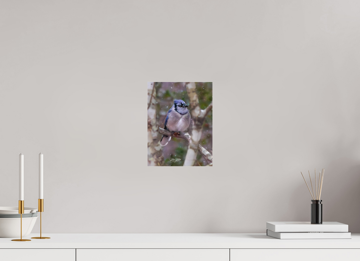 8 x 10.4″, Photo Print Under Acrylic Glass Zillas Zoom Image 438