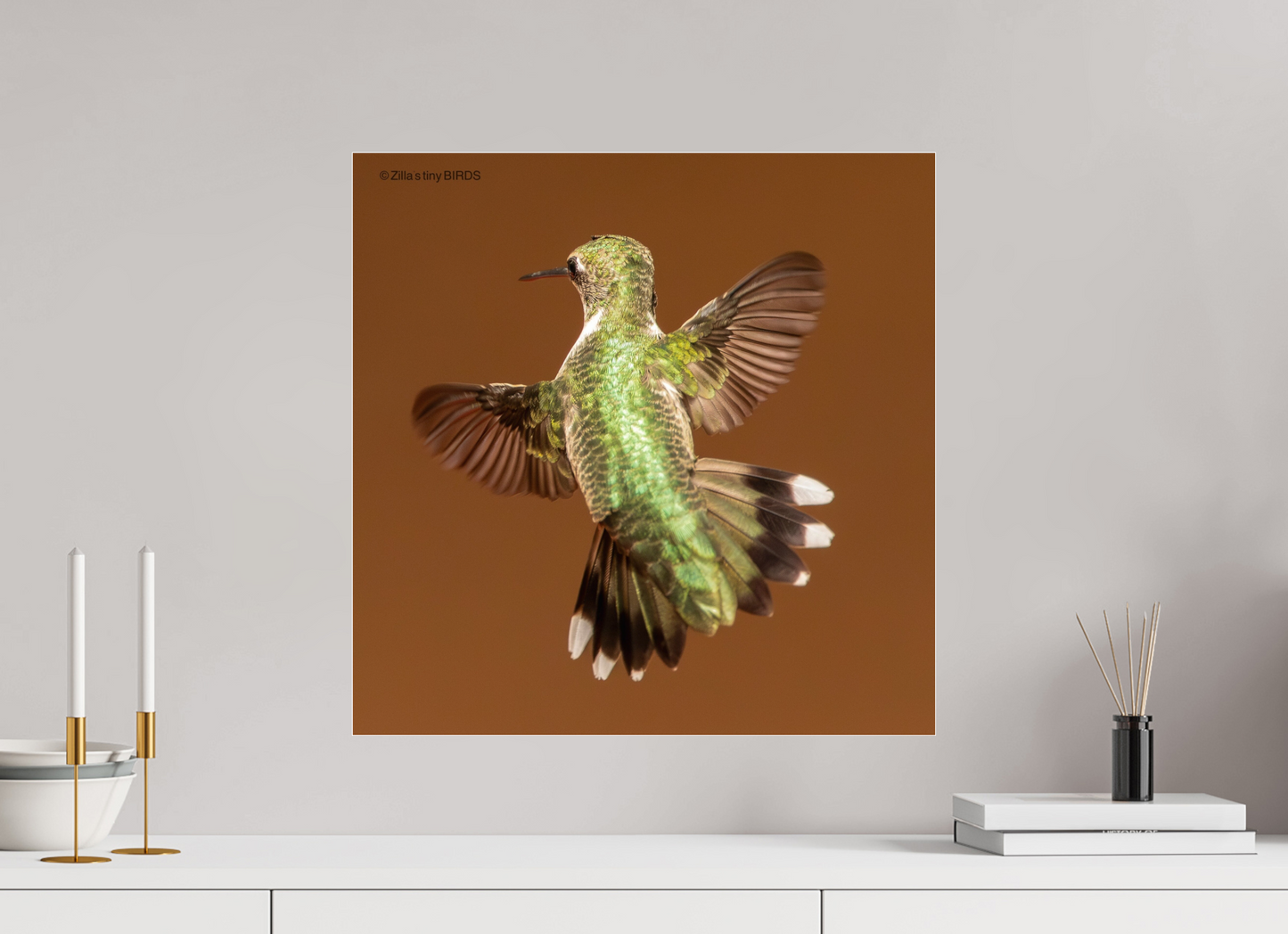 20 x 20″, Photo Print Under Acrylic Glass Zillas Zoom Image 338